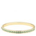 Womens Gold/Trinite Clemara Hinge Crystal Bracelet 40644 by Ted Baker from Hurleys