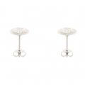 Womens Silver & White Eisley Studs 66776 by Ted Baker from Hurleys