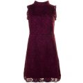 Womens Oxblood Latoya High Neck Lace Dress 62013 by Ted Baker from Hurleys