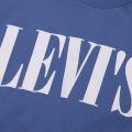 Mens Riverside Blue Relaxed Fit Graphic 90s S/s T Shirt 57783 by Levi's from Hurleys