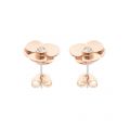 Womens Rose Gold Preaa Flower Stud Earrings 15965 by Ted Baker from Hurleys