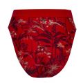 Womens Dark Red Frayiia Printed Bikini Pants 89094 by Ted Baker from Hurleys