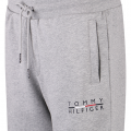 Mens Light Grey Square Logo Sweat Shorts 107595 by Tommy Hilfiger from Hurleys