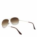 Arista RB3362 Cockpit Sunglasses 43495 by Ray-Ban from Hurleys