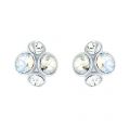 Womens Silver/Clear Multi Lynda Jewel Cluster Studs 93518 by Ted Baker from Hurleys