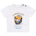 Boys White Bear Print S/s Tee Shirt