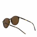 Havana RB4371 Round Sunglasses 43531 by Ray-Ban from Hurleys