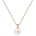 Womens Gold/White Dorriy Daisy Pendant Necklace 99470 by Ted Baker from Hurleys
