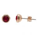 Womens Rose Gold & Burgundy Sinaa Crystal Studs 66783 by Ted Baker from Hurleys