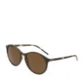 Havana RB4371 Round Sunglasses 43530 by Ray-Ban from Hurleys