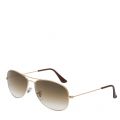 Arista RB3362 Cockpit Sunglasses 43494 by Ray-Ban from Hurleys