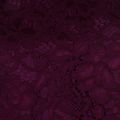 Womens Oxblood Latoya High Neck Lace Dress 62014 by Ted Baker from Hurleys