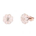 Womens Rose Gold/Baby Pink Daraeh Daisy Stud Earrings 82807 by Ted Baker from Hurleys