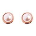 Womens Rose Gold/Pearl Sinaa Pearl Studs 33116 by Ted Baker from Hurleys