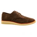 Mens Chocolate Brown Classic Suede Brogue 69273 by Toms from Hurleys