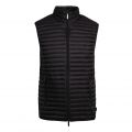 Mens Black Padded Gilet 84507 by Emporio Armani from Hurleys