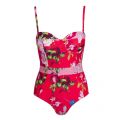 Womens Berry Sundae Regana Cupped Swimsuit 43439 by Ted Baker from Hurleys