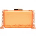 Womens Pink Texie Resin Box Clutch Bag 63851 by Ted Baker from Hurleys
