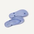 Womens Wild Lavender Iqushion Transparent Flip Flops 109824 by FitFlop from Hurleys