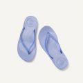 Womens Wild Lavender Iqushion Transparent Flip Flops 109825 by FitFlop from Hurleys