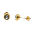Womens Gold & Light Sapphire Sinaa Crystal Studs 7454 by Ted Baker from Hurleys
