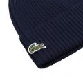 Mens Navy Branded Roll Back Knitted Hat 96539 by Lacoste from Hurleys