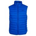 Mens Blue Down Gilet 10999 by Armani Jeans from Hurleys
