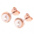 Womens Rose Gold/Pearl Sinaa Pearl Studs 33117 by Ted Baker from Hurleys
