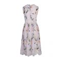 Womens Nude Pink Cerloe Elegant Lace Midi Dress 46844 by Ted Baker from Hurleys