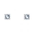 Womens Silver/Crystal Nenna Nano Sparkle Earrings 54415 by Ted Baker from Hurleys