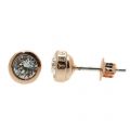 Womens Rose Gold Sinaa Crystal Studs 33122 by Ted Baker from Hurleys