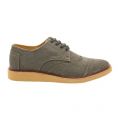 Mens Ash Aviator Twill Brogue 8612 by Toms from Hurleys