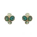 Womens Gold/Green Multi Lynda Cluster Studs 54376 by Ted Baker from Hurleys