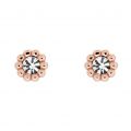 Womens Rose Gold/Crystal Perella Crystal Nano Studs 97489 by Ted Baker from Hurleys