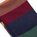 Mens Blue Multi Usher Stripe Socks 100283 by PS Paul Smith from Hurleys