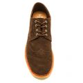 Mens Chocolate Brown Classic Suede Brogue 69274 by Toms from Hurleys
