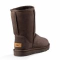 Womens Chocolate Classic Short II Boots 62271 by UGG from Hurleys