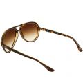 Light Havana RB4125 Cats 5000 Sunglasses 14471 by Ray-Ban from Hurleys