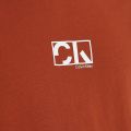 Mens Gingerbread Brown Graphic Logo S/s T Shirt 110350 by Calvin Klein from Hurleys