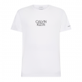Mens Bright White Shadow Centre Logo S/s T Shirt 91004 by Calvin Klein from Hurleys