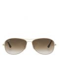 Arista RB3362 Cockpit Sunglasses 43492 by Ray-Ban from Hurleys