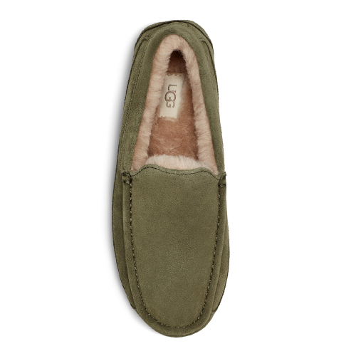 Mens Burnt Olive Ascot Slippers 98014 by UGG from Hurleys