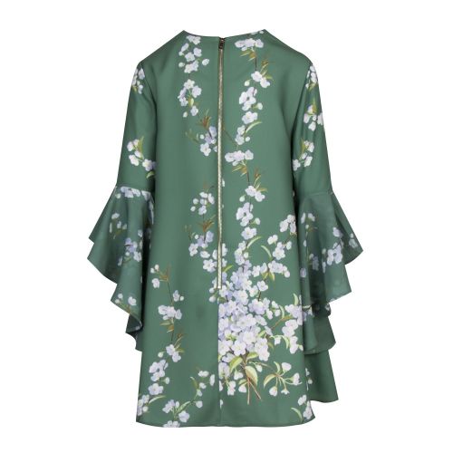 Womens Green Shicago Graceful Dress 46853 by Ted Baker from Hurleys