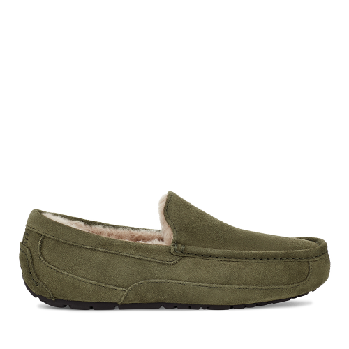 Mens Burnt Olive Ascot Slippers 98015 by UGG from Hurleys