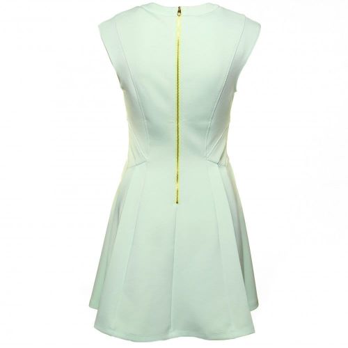 Womens Pale Green Nistee Dress 63853 by Ted Baker from Hurleys