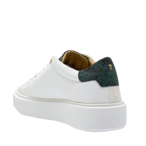 Womens White Piixie Snake Tab Trainers 81314 by Ted Baker from Hurleys