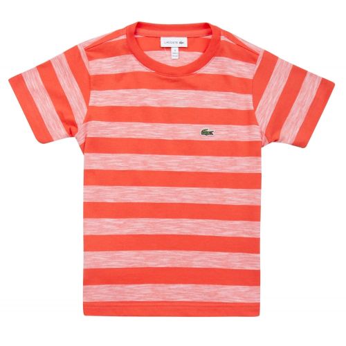 Boys Watermelon Striped Jersey S/s T Shirt 23343 by Lacoste from Hurleys
