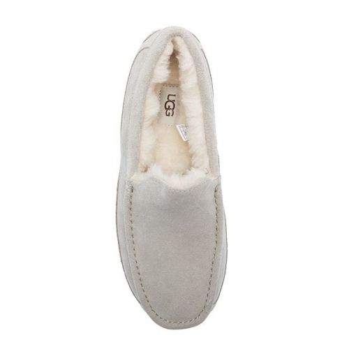 Mens Grey Pumice Ascot Slippers 109503 by UGG from Hurleys