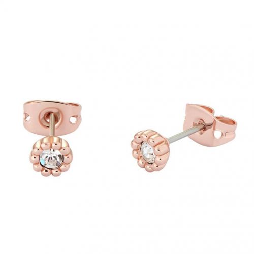 Womens Rose Gold/Crystal Perella Crystal Nano Studs 97490 by Ted Baker from Hurleys