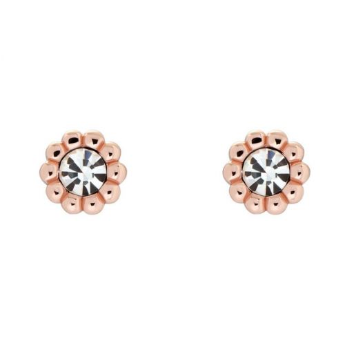 Womens Rose Gold/Crystal Perella Crystal Nano Studs 97489 by Ted Baker from Hurleys